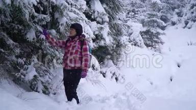白雪皑皑的树林里的年轻女子。 年轻漂亮的游客独自站在森林里环顾四周。 她看着雪和
